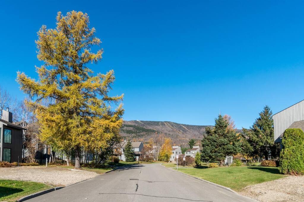 Initial - Sommet - Mont-Sainte-Anne Villa Beaupré Dış mekan fotoğraf